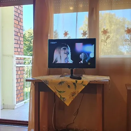 Zita Ueduelohaz Apartment Balatonboglar